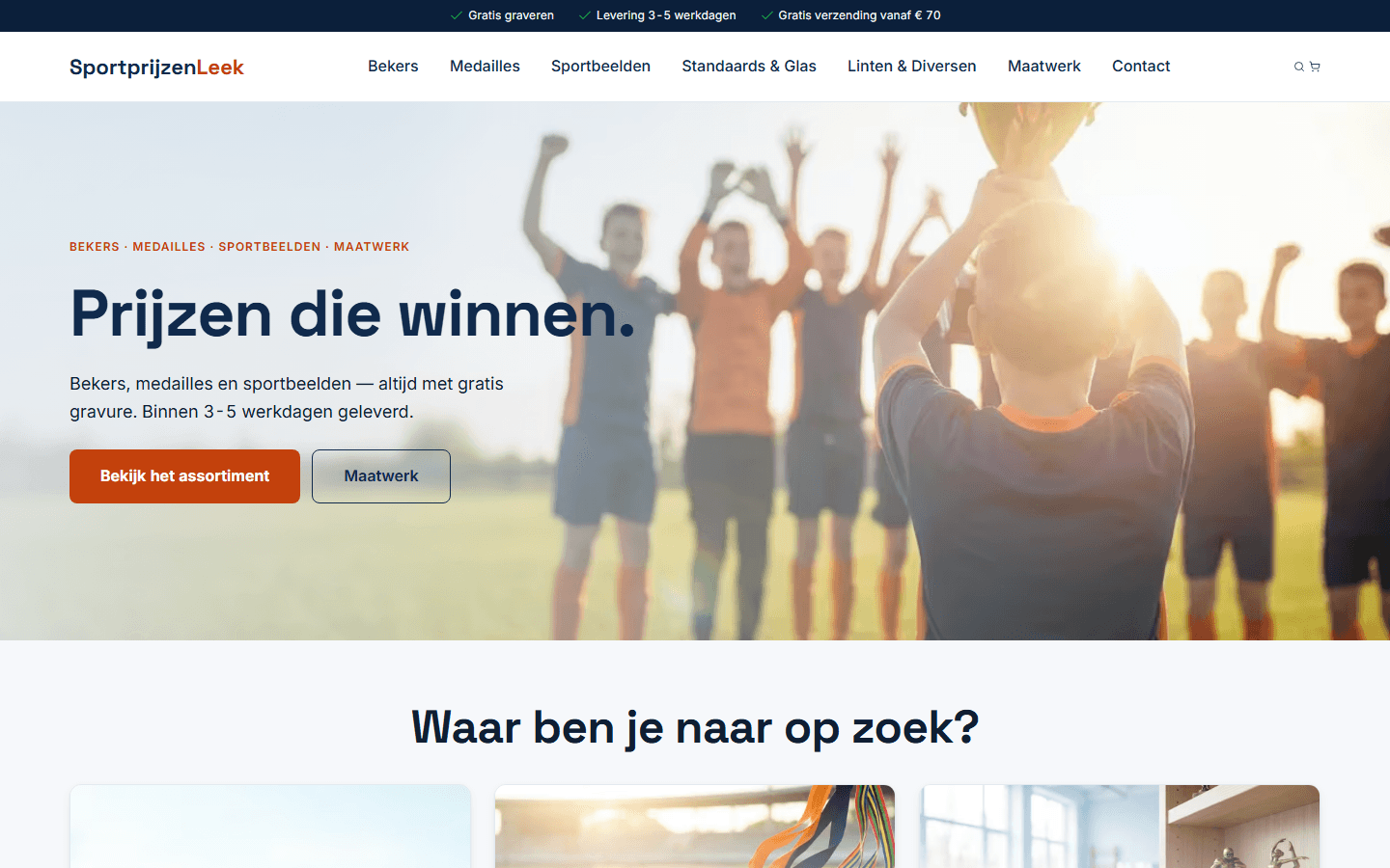 Sportprijzen Leek — webshop op desktop